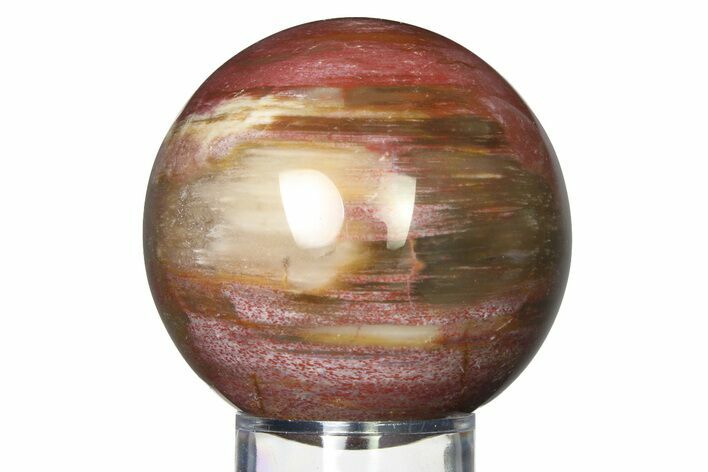 Colorful Petrified Wood (Araucaria) Sphere - Madagascar #317326